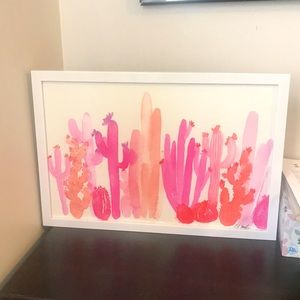 Pink cactus picture 🌵 🌵